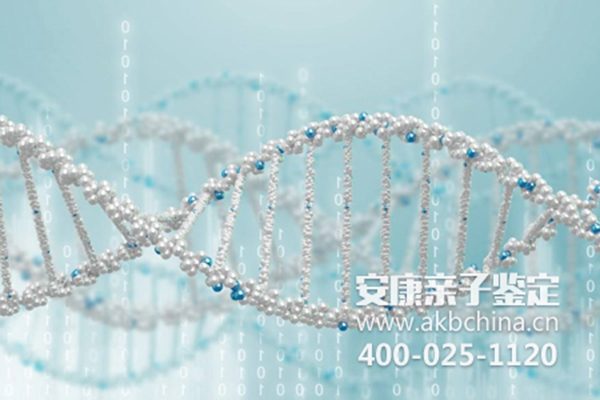 内江DNA鉴定中心亲子鉴定可靠吗，DNA检测中心多少钱 